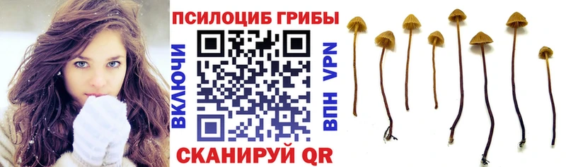 Галлюциногенные грибы мицелий  где найти   Нижневартовск 